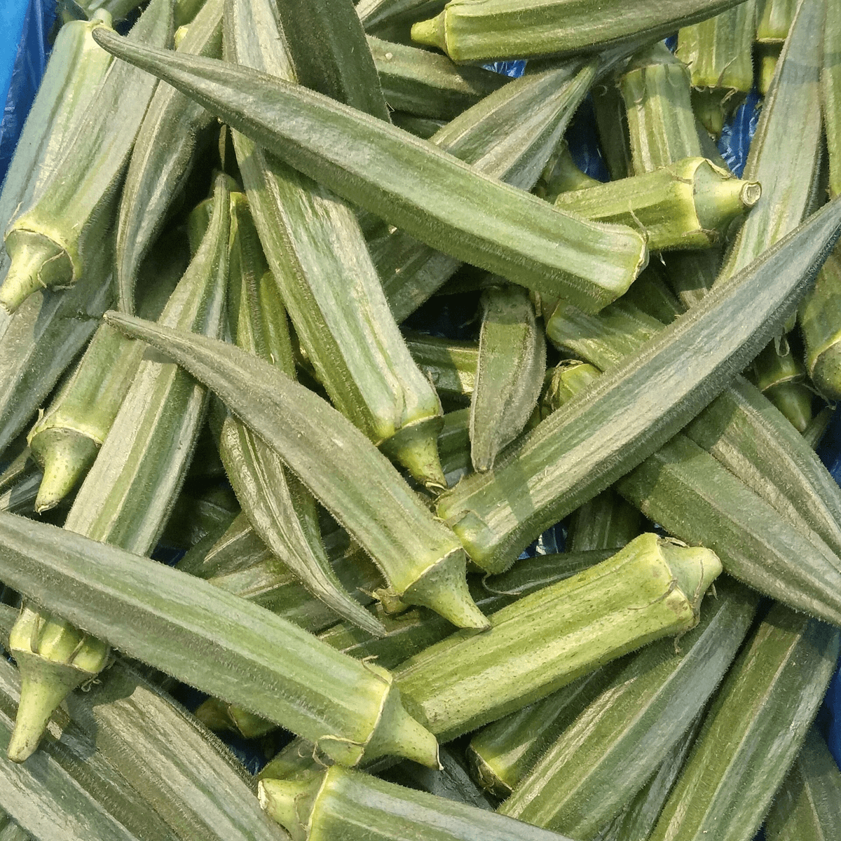 Bhindi Calories: Bhindi Masala, Fried Bhindi and 100g Values — CalsFlow guide cover